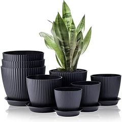 8 Pack Plant Pots