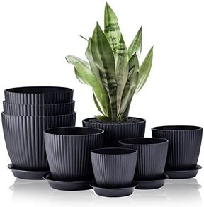 8 Pack Plant Pots