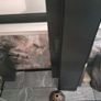 126L Fluval Aquarium + Stand, Light, and Filter Image 3