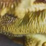 Vintage Green and Yellow T-Rex Tyrannosaurus Rex - Made in China Dinosaur Figure Image 6