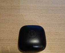 Beats Powerbeats Pro Earphones