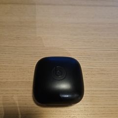 Beats Powerbeats Pro Earphones