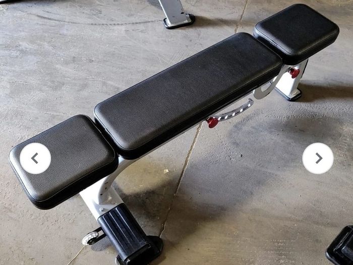 Nautilus Multi Adjustable Benches