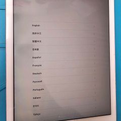 iPad Air 2 Replacement LCD Touch Screen Digitizer Assembly White