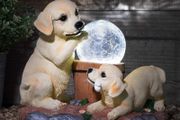 Solar Labrador Dogs Garden Ornaments | Solar Ornaments | Solar Powered Crackle Ball Light | Garden Decorations Solar Animal | Labrador Ornaments Garden Decor (FREE POSTAGE)