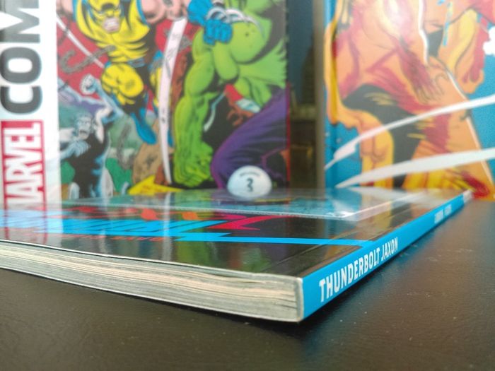 Thunder Bolt Jaxon Graphic Novel ! From The World Of Albion ! Trade Paperback ! TPB !