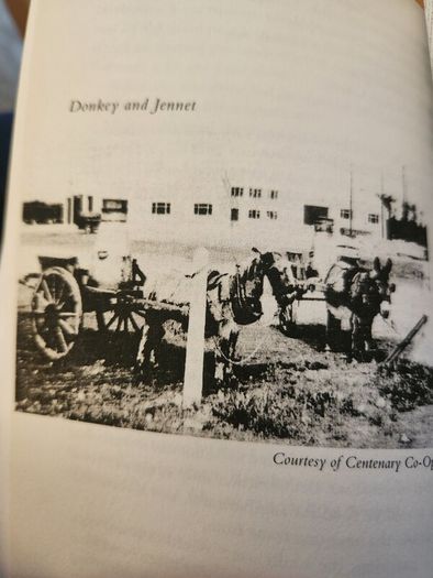 An Fear Deirce. The Begger Man And The Hungry Grass. By John  Lawlor. Paperback In Good Condition.
