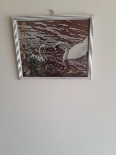 small picture