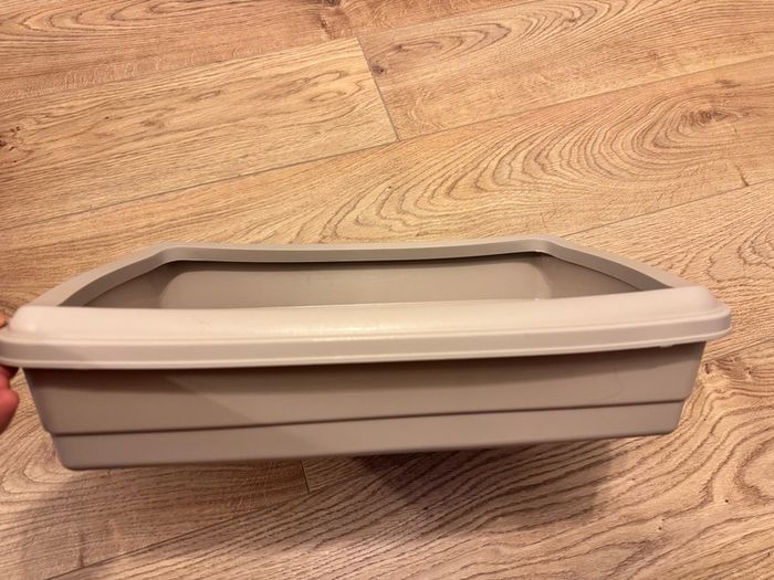 cat litter