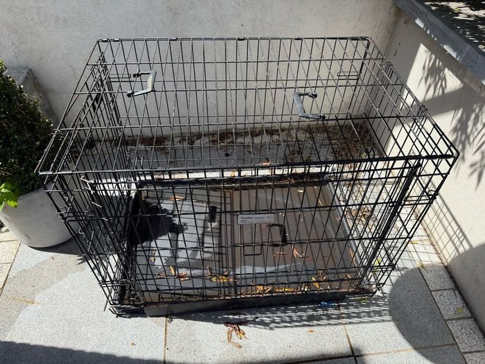 FREE large Dog Cage