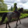 Pony for lease at livery yard Image 4