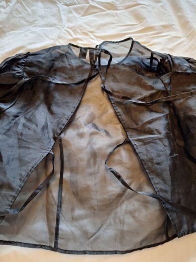 Black Organza Top