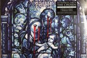 Enterprise Earth - The Chosen