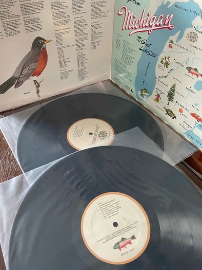Sufjan Stevens Presents... Greetings from Michigan, the Great Lake State