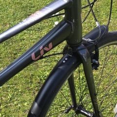 Liv bike