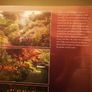 1 Kiftsgate Court Gardens: Three Generations of Women Gardener's (BrandNew) Image 2