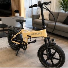 E bike