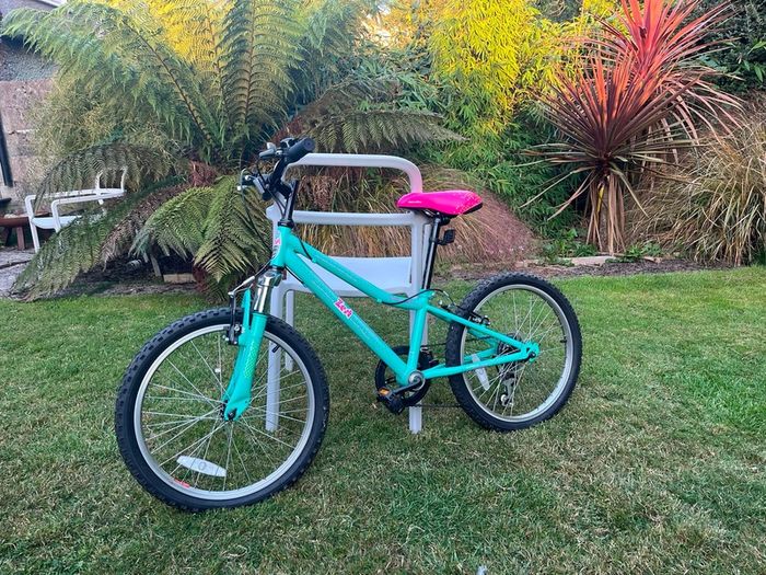 2 kids bikes