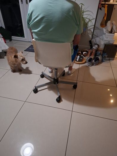 office