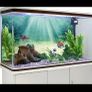 Fish Tank Background 100cm x 50cm Image 6