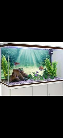 Fish Tank Background 100cm x 50cm