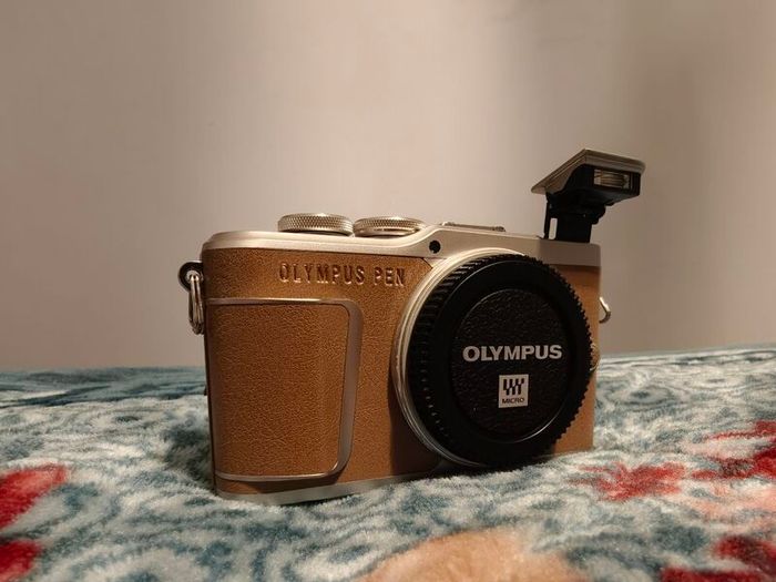 Olympus Pen E-PL9 + Lumix 25mm F1.7 lens Bundle