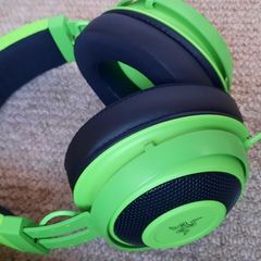 Razer Earphones & Hard Case