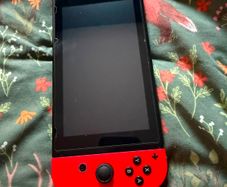 Nintendo Switch  and Animal Crossing