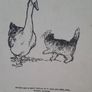 Vintage Children's books Toddles Image 3