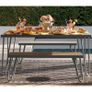 Outdoor Dining Set Paulette Charcoal Frame 5ft Garden Dining Table and 2 Benches 88192CNOEUK by Novogratz Image 2