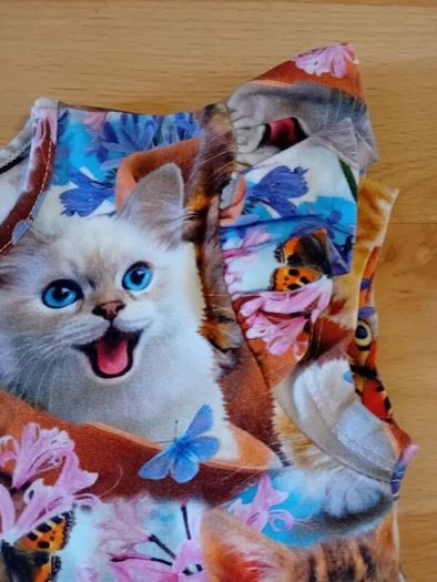 Cute Shorts & Tshirt