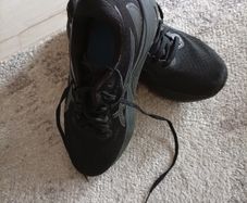 Asics Gel Kayano runners