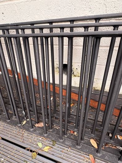 iron railings