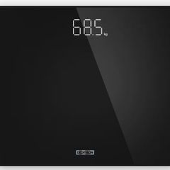 Glass scale