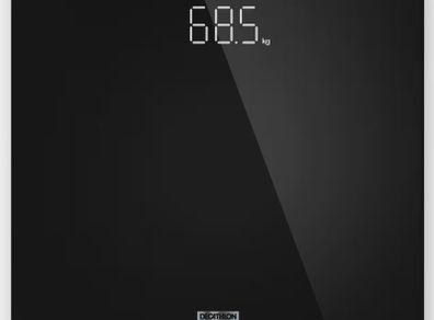 Glass scale