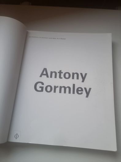 Antony Gormley by John Hutchinson, Lela B. Njatin, E. H. Gombrich and W. J. T. Mitchell