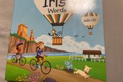 Irish language children's book