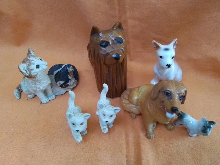 Cats & Dogs