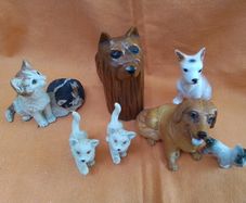 Cats & Dogs