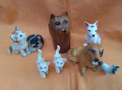 Cats & Dogs