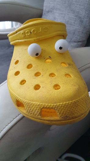 Croc charms - 3d Printed novelty accessories for your croc shoes
