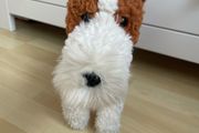 Jellycat retired Hector Fox Terrier