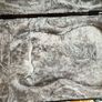 Fender deluxe moulded case for Strat or Tele Image 3