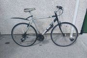 Adults Bike