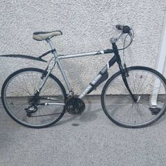 Adults Bike
