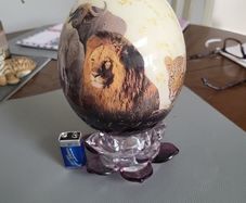 Ostrich egg hand painted