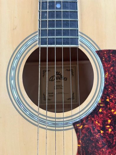Guitar
