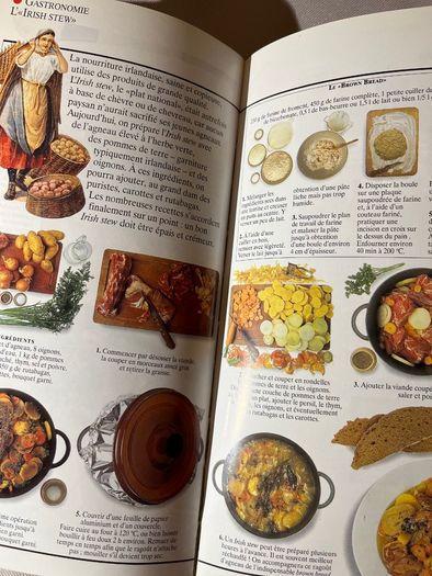 Travel Guide | Guides Gallimard Irlande ancienne edition