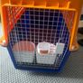 crate airline approved transport crate Image 3