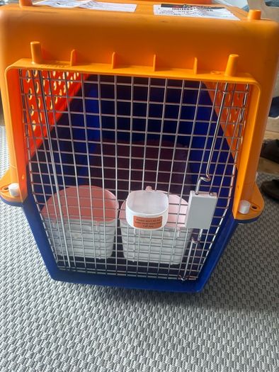 crate airline approved transport crate